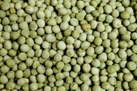 WHITE PEAS വൈറ്റ് പീസ്  - 500g