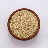 URAD DAL  ഉഴുന്ന്  - 500g