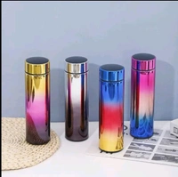 B-96 UV Temperature Bottle (Imported)