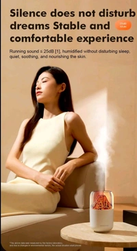 10090 Lawa Humidifier (Imported)