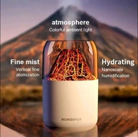 10090 Lawa Humidifier (Imported)