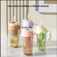 6604 Glass Sipper Mug (Imported)