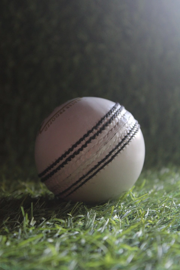 White Cricket Leather ball 1pis - White