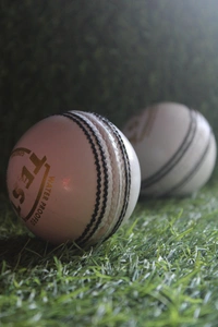 White Cricket Leather ball 1pis - White