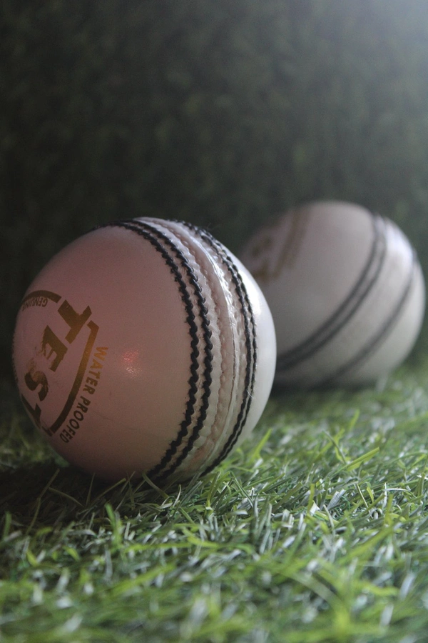 White Cricket Leather ball 1pis - White