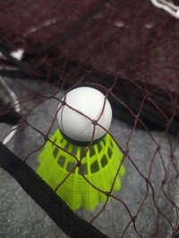 Vixen Badminton Net | 760mm in depth and a of 6.1m wide.