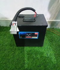 48v 30ah Lithium ion BATTERY Pack Metal Box Mileage 80km - Black, Your Choice