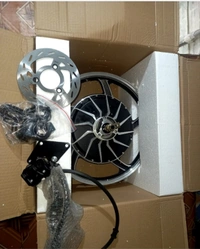 Hub Motor Bike Conversation Kit 48v/60v 1000w - Black, 17inc Wheel