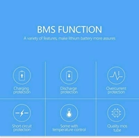11s BMS LiFepo4