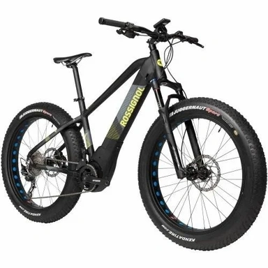 Electric Cycle 