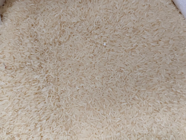 M.I GOLD Red Jeera Rice  - 25 Kg