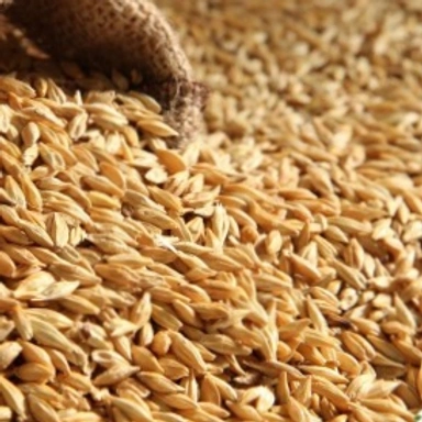 Wheat ,SoyaProduct & Other Grain