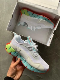 Reebok  shoes zig dynamic-2 - 41uk7
