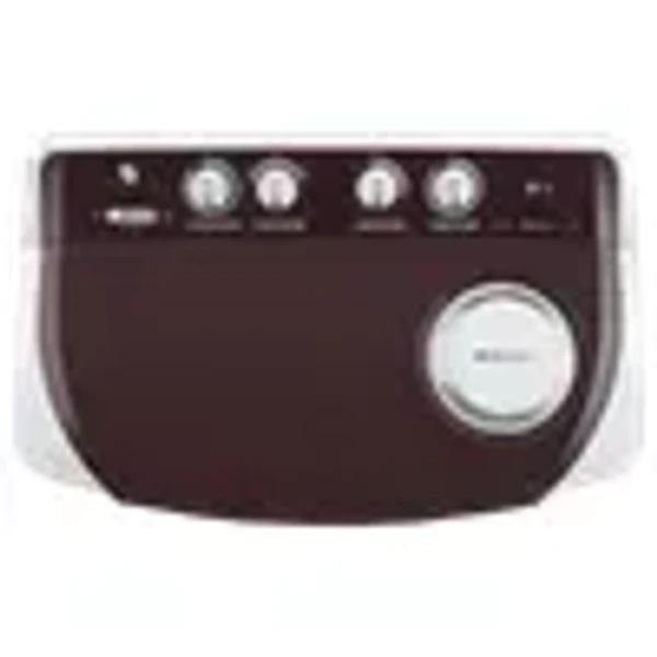 LG 8 kg 5 Star Semi Automatic Washing Machine with Lint Filter (P8030SRAZ.ABGQEIL, Burgundy)