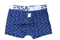 Essa Print Trunk  - Gray, 80