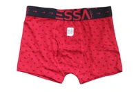 Essa Print Trunk  - Gray, 80