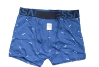 Essa Print Trunk  - Gray, 80