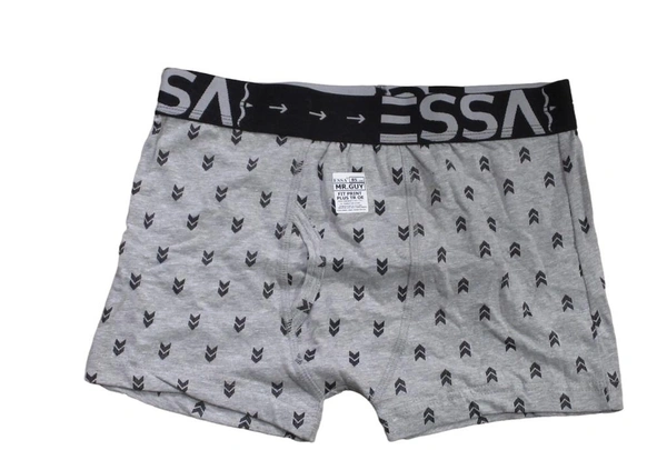 Essa Print Trunk  - Gray, 80