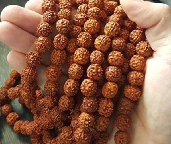 Third Eye™ 5 Mukhi Rudraksha Mala Lab Certified With Gomukhi Japa Bag 108 Beads Brass Chain