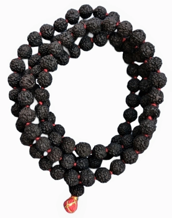  Rudraksha Mala 8MM Panchmukhi Bead 108 + 1 Nos Black Color 48 cm Long Japa Puja Wood Chain