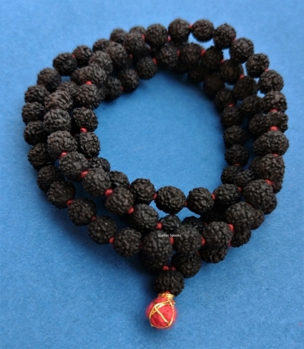  Rudraksha Mala 8MM Panchmukhi Bead 108 + 1 Nos Black Color 48 cm Long Japa Puja Wood Chain