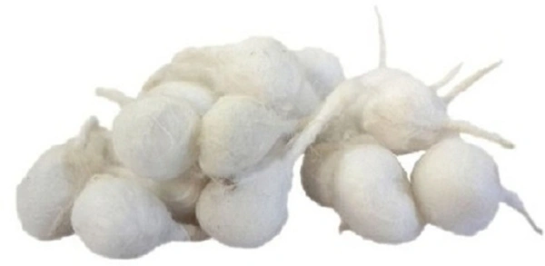 Pure Puja Batti, Round Cotton Batti, Pack of 500