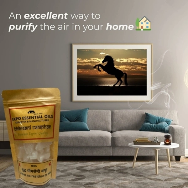 Expo Organics 100% Pure & Natural Bhimseni Kapoor, Camphor, Kapoor