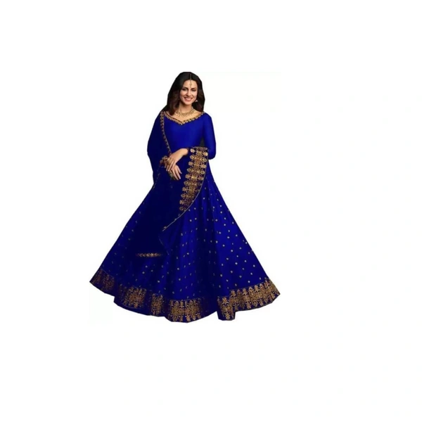 Embroiderd Laitcha Choli - 25P