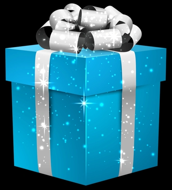 BLUE GIFT BOX - Portage