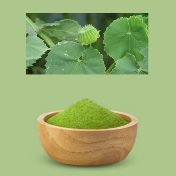 Thuthi Leaf Powder / Abutilon Indicum Leaf Powder      