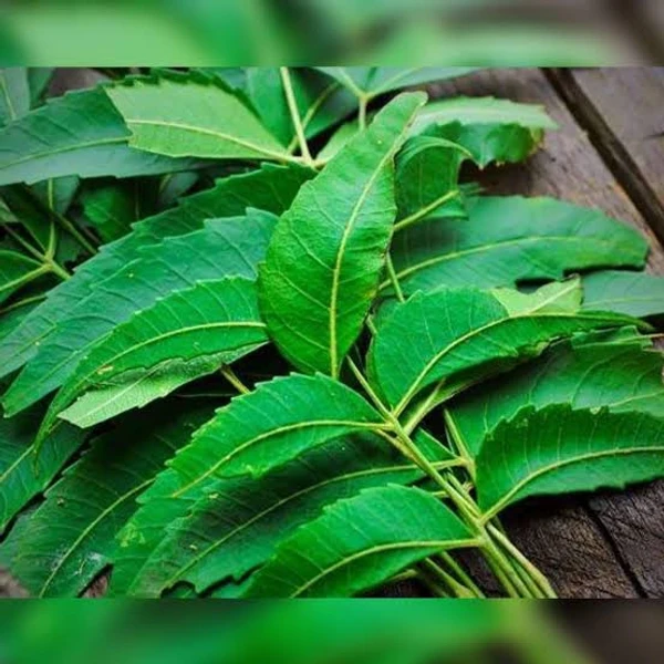 Veppilai Powder / Azadirachta Indica Leaves Powder           