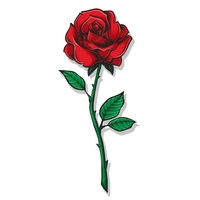 Rojapoo Powder / Rose Centifolia Flowers Powder 