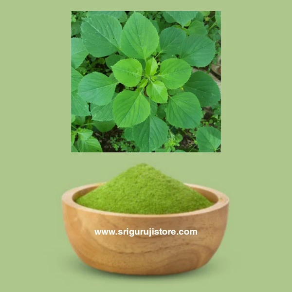 Kuppaimeni Powder / Acalypha Indica Leaves Powder