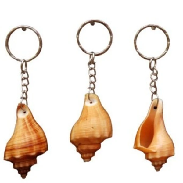 Shell Key - 3 key chain