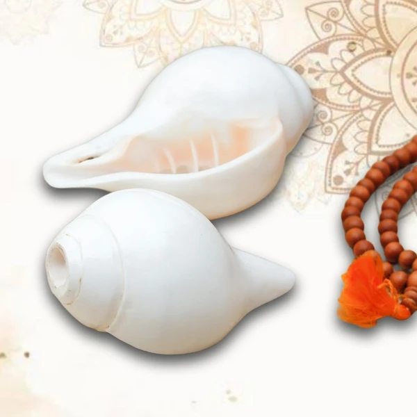 Original Rameswaram Blowing Shankh, Divine Conch ( White Shankh -  Pack of 1 ) - 5 Inch   - 🔴 Prepaid Only