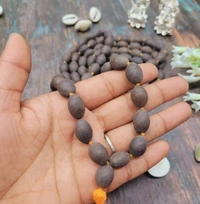 Original Lotus Seed Mala அசல் தாமரை விதை மாலை 108 - 🔴 Prepaid Only