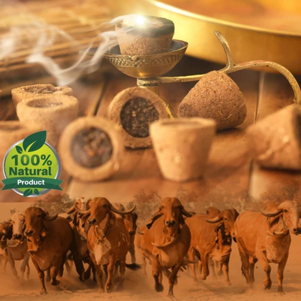 Cow Dung Dhoop / | Cow Dung sambrani Cups - பஞ்சகவ்ய கப் சாம்பிரா - 50 Pcs Box 🔴 Prepaid Only