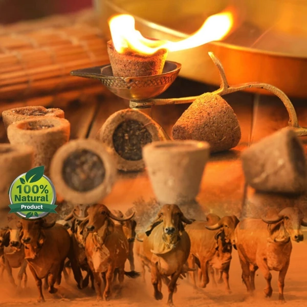 Cow Dung Dhoop / | Cow Dung sambrani Cups - பஞ்சகவ்ய கப் சாம்பிரா - 50 Pcs Box 🔴 Prepaid Only