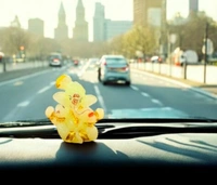 Glow in the dark Car Dashboard Ganesha Idol with Pugri - Prepaid
