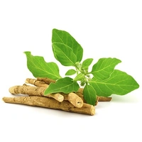 Ashwagandha Powder - 100g - 🔴 Prepaid Only