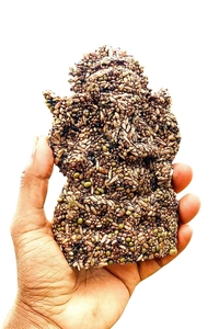 Navadhanya Ganesh
