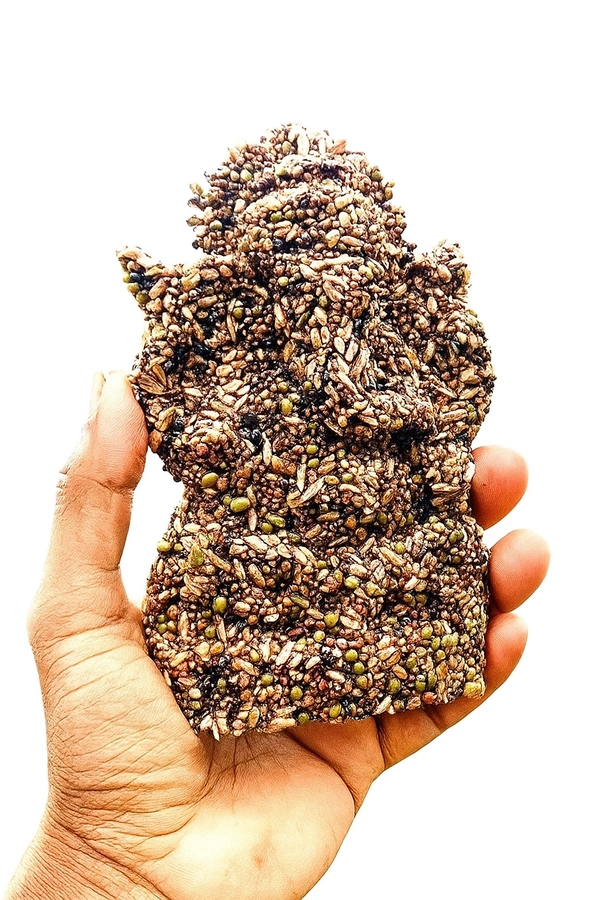 Navadhanya Ganesh