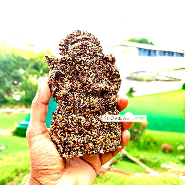 Navadhanya Ganesh