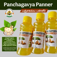 Panchagavya Paneer  - 6