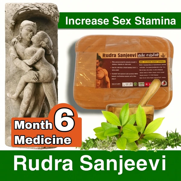 Rudra Sanjeevi -