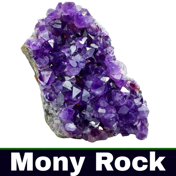 Money Rock 🪨