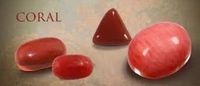 Original Coral stone with certificate 5.3 carat - Pisces   - 🔴 Prepaid Only