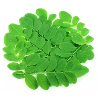 Moringa Leaf Powder - 100g - 🔴 Prepaid Only