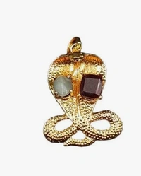 Kaal Sarp Nivaran pendant - 🔴 Prepaid Only
