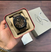 Fossil Model Fs4656
